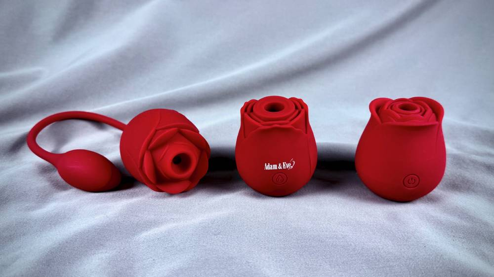 Rose Toy for Beginners: 7 Things to Know Before Buying Your First One