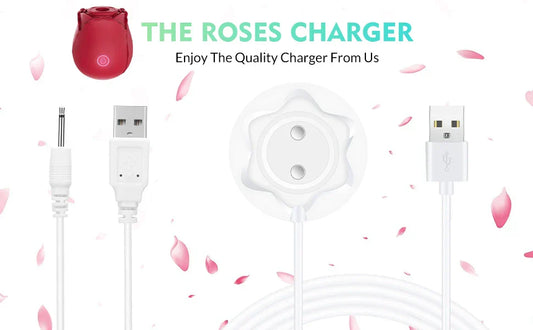 How to Charge a Rose Toy Without the Magnetic Charger