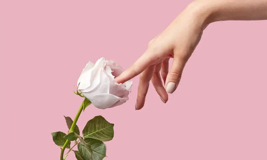 Can You Use a Rose Toy on Your Period? Plus Pregnancy & Safety Guide