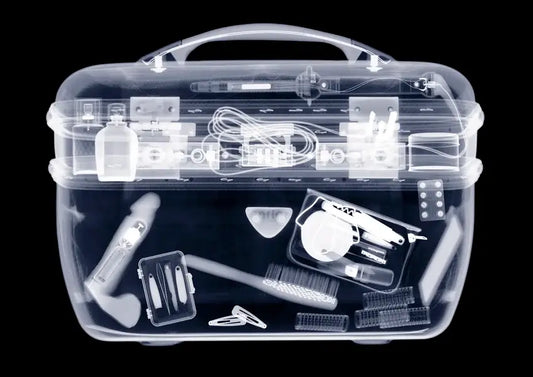 Can You Bring a Rose Toy on a Plane? The Complete Travel Guide
