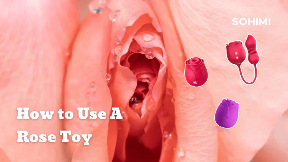 Where Does the Rose Toy Go? Placement Guide With Diagram