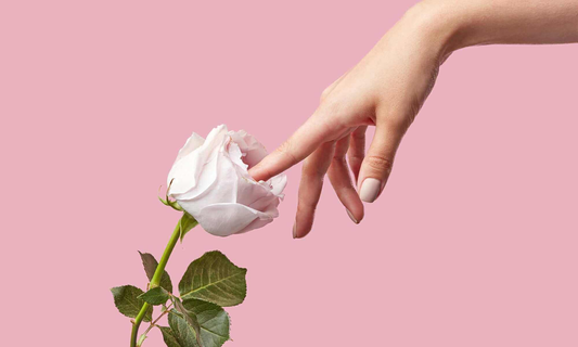 Rose Toy Side Effects: What's Real and What's a Myth?