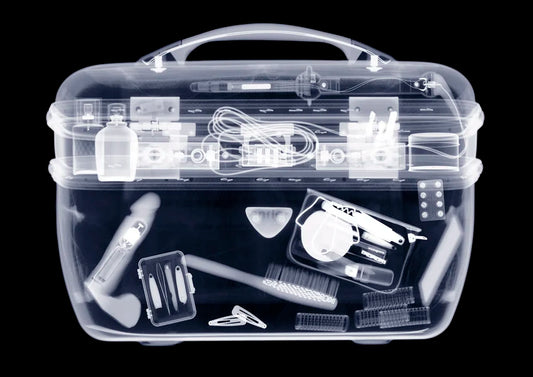 Can You Bring a Rose Toy on a Plane? The Complete Travel Guide