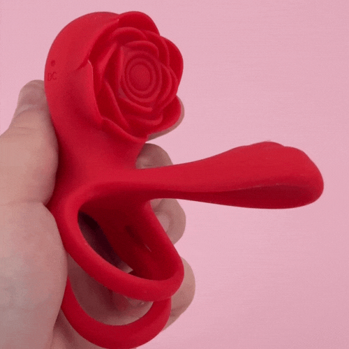 Dual Romance Standing Doggy Double Penis Rings