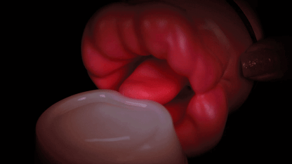 New Rose Toy - 2024 Mouth Shape Rose Toy
