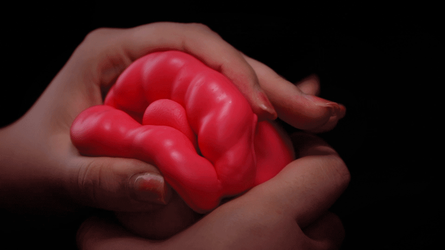 New Rose Toy - 2024 Mouth Shape Rose Toy