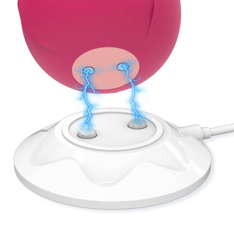 Rose Toy Charger - USB Magnetic Fast Charging