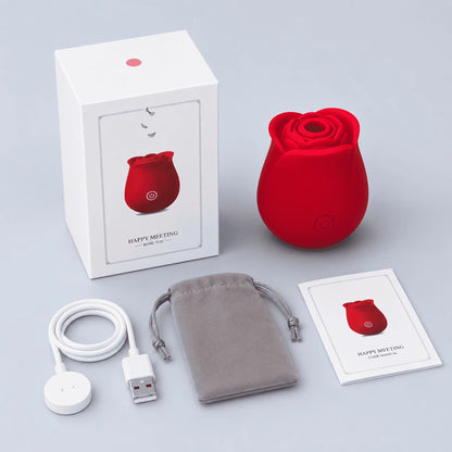 The Rose Toy Aura Classic Vibrator