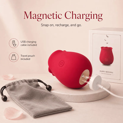 The Rose Toy Aura Classic Vibrator